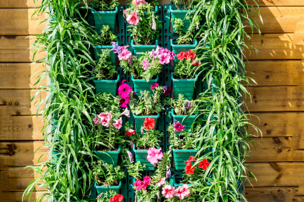 Jardim vertical de flores: espécies e cores para alegrar o seu ambiente