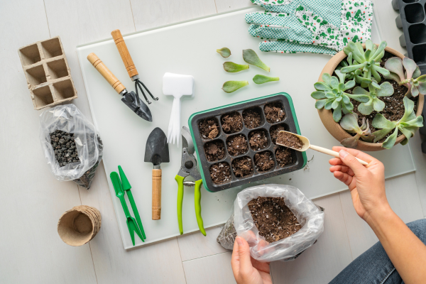 Manutenção Simplificada: Segredos para um Jardim em Varandas e Pequenos Terraços