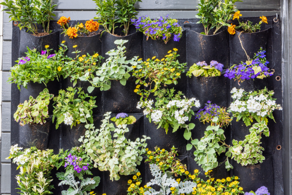 Plantas de Interior para Jardins Pequenos: Como Tornar Seu Lar Mais Verde e Acolhedor