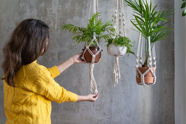 Plantas Suspensas: Uma Tendência de Decoração para Jardins Pequenos