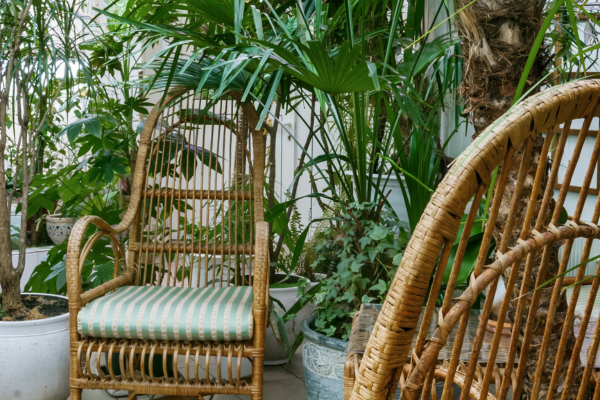 Jardins de Inverno: Como Transformar Cantos Esquecidos em Oásis Verdes