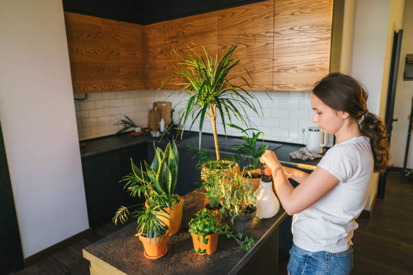 O Guia Essencial de Manutenção para Jardins Verticais em Ambientes Pequenos