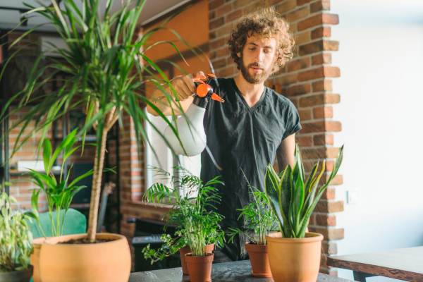 Manter a Beleza em Pequenos Espaços: Rotinas de Manutenção para Jardineiros Urbanos