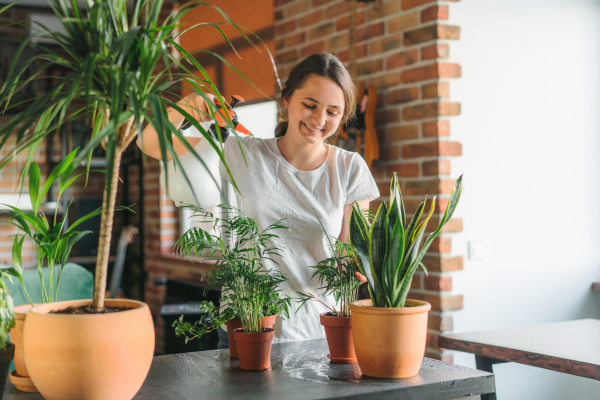 Dicas de Manutenção para um Jardim em Espaço Pequeno que Brilha