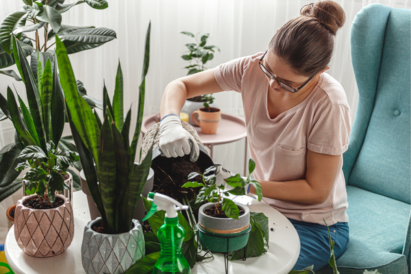 Manutenção Sustentável para Jardins em Espaços Reduzidos: O que Você Precisa Saber