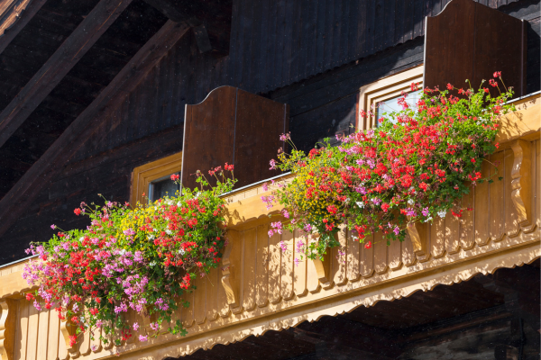 Escolhendo as Flores Certas para a Sua Varanda