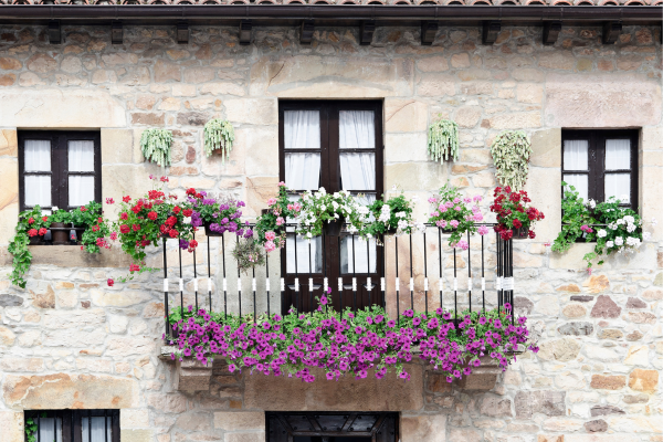 As Melhores Flores para Embelezar sua Varanda Pequena